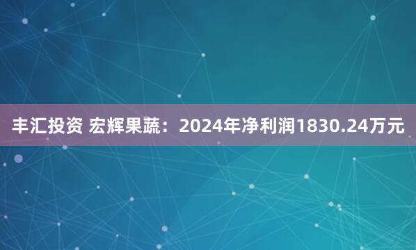 丰汇投资 宏辉果蔬：2024年净利润1830.24万元
