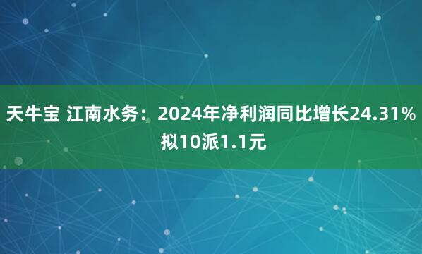 天牛宝 江南水务：2024年净利润同比增长24.31% 拟10派1.1元