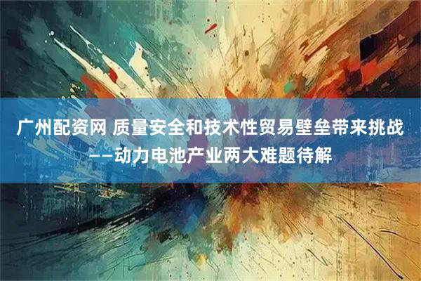 广州配资网 质量安全和技术性贸易壁垒带来挑战——动力电池产业两大难题待解