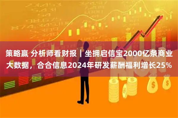 策略赢 分析师看财报｜坐拥启信宝2000亿条商业大数据，合合信息2024年研发薪酬福利增长25%